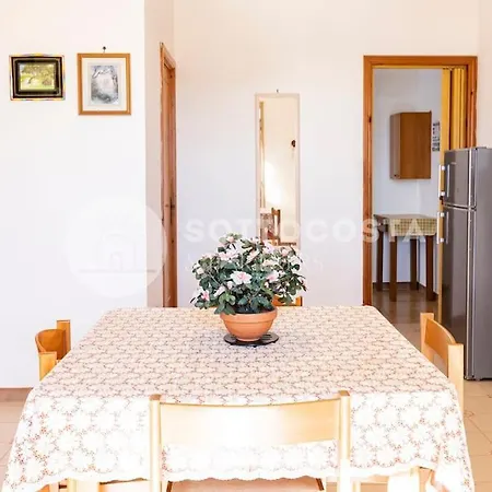 Hibiscus Flat -
