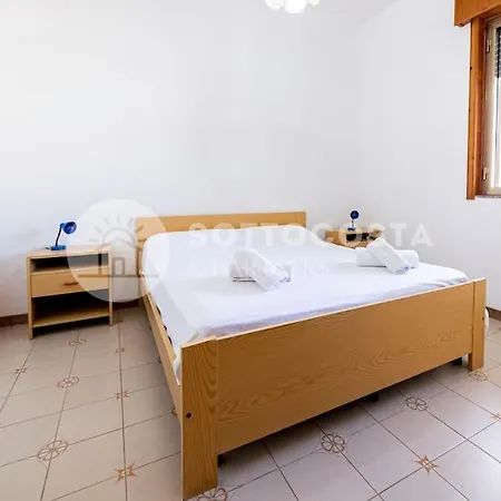 Hibiscus Flat - * San Foca