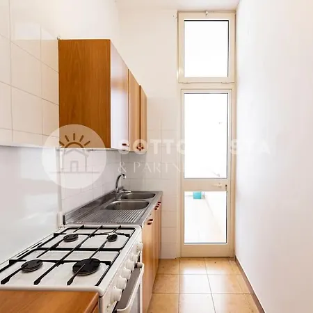 Hibiscus Flat -